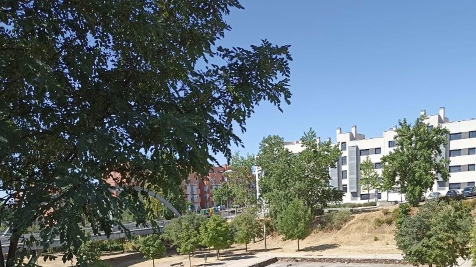 Arroyomolinos plantará 2.657 árboles para mejorar sus espacios públicos