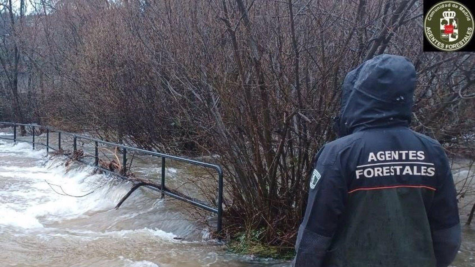 La Comunidad defiende el aumento del 27% de los Agentes Forestales