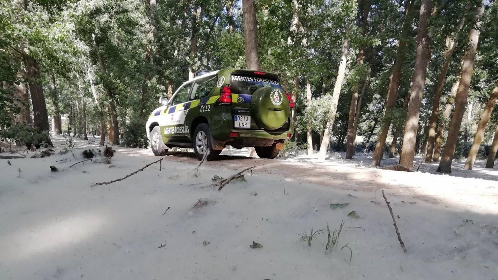 El Cuerpo de Agentes Forestales realiza inspecciones para prevenir incendios 