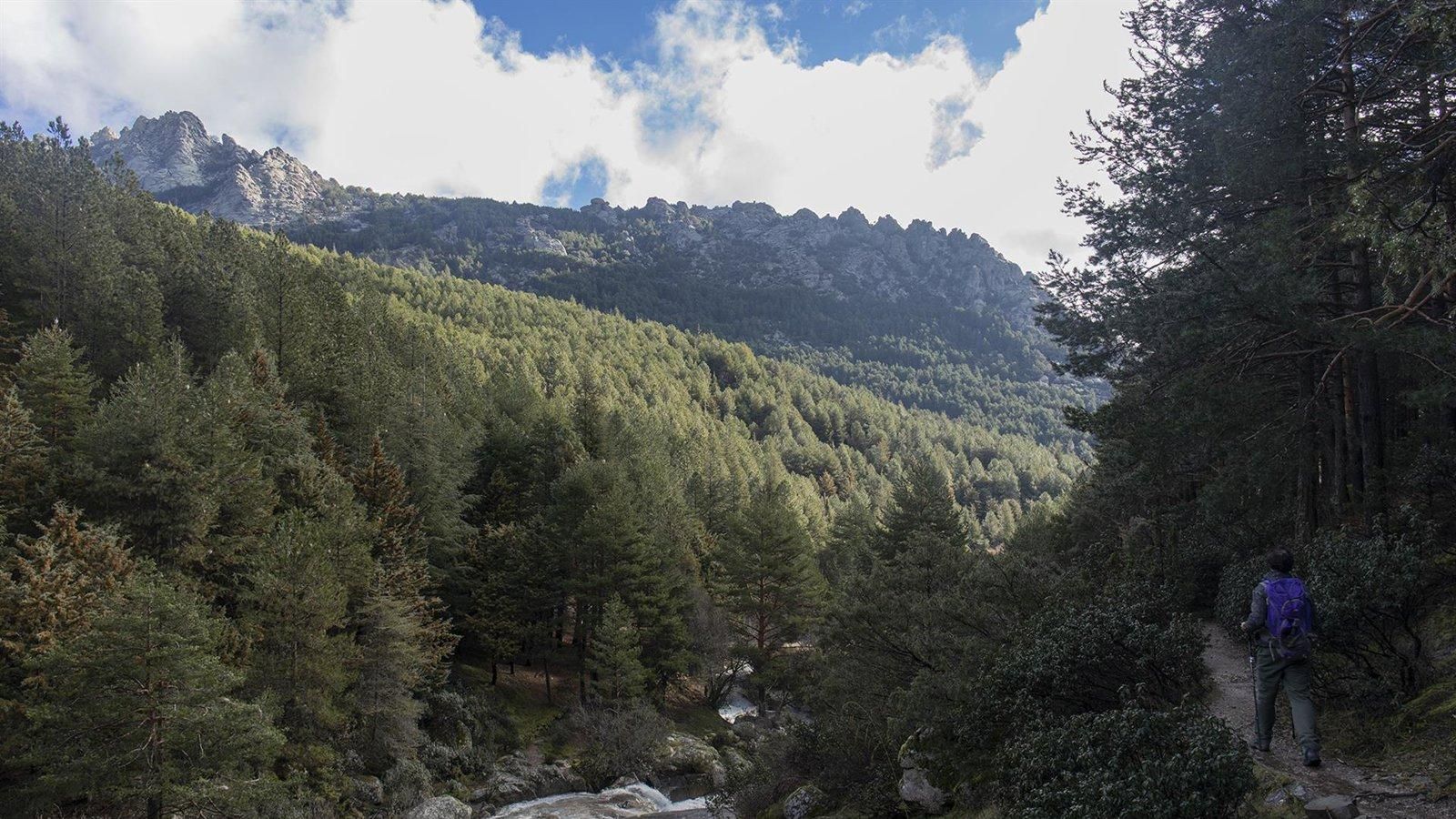Escapadas frescas a la Sierra Norte: rutas entre hayedos, cascadas y aire puro para huir del calor
