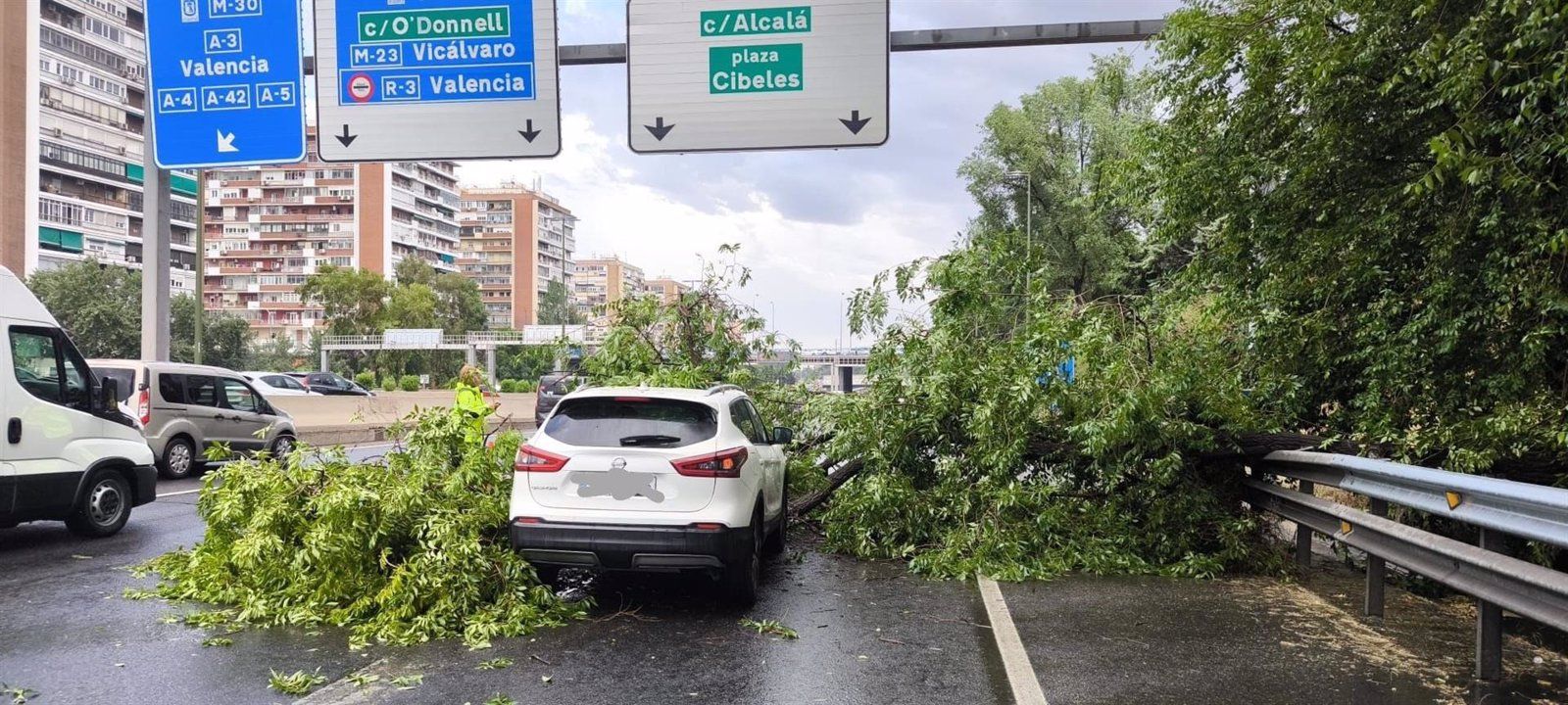 Un árbol cae sobre un coche en la M-30 a la altura del distrito de Salamanca sin causar heridos