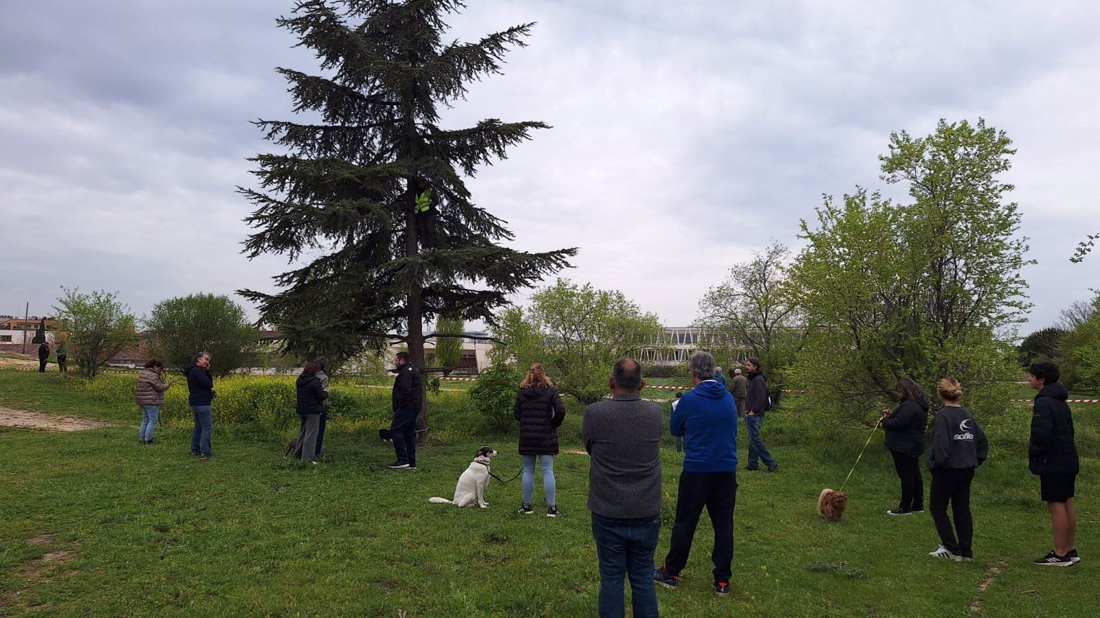Vecinos de Montecarmelo reciben nuevas multas por una sentada contra el cantón