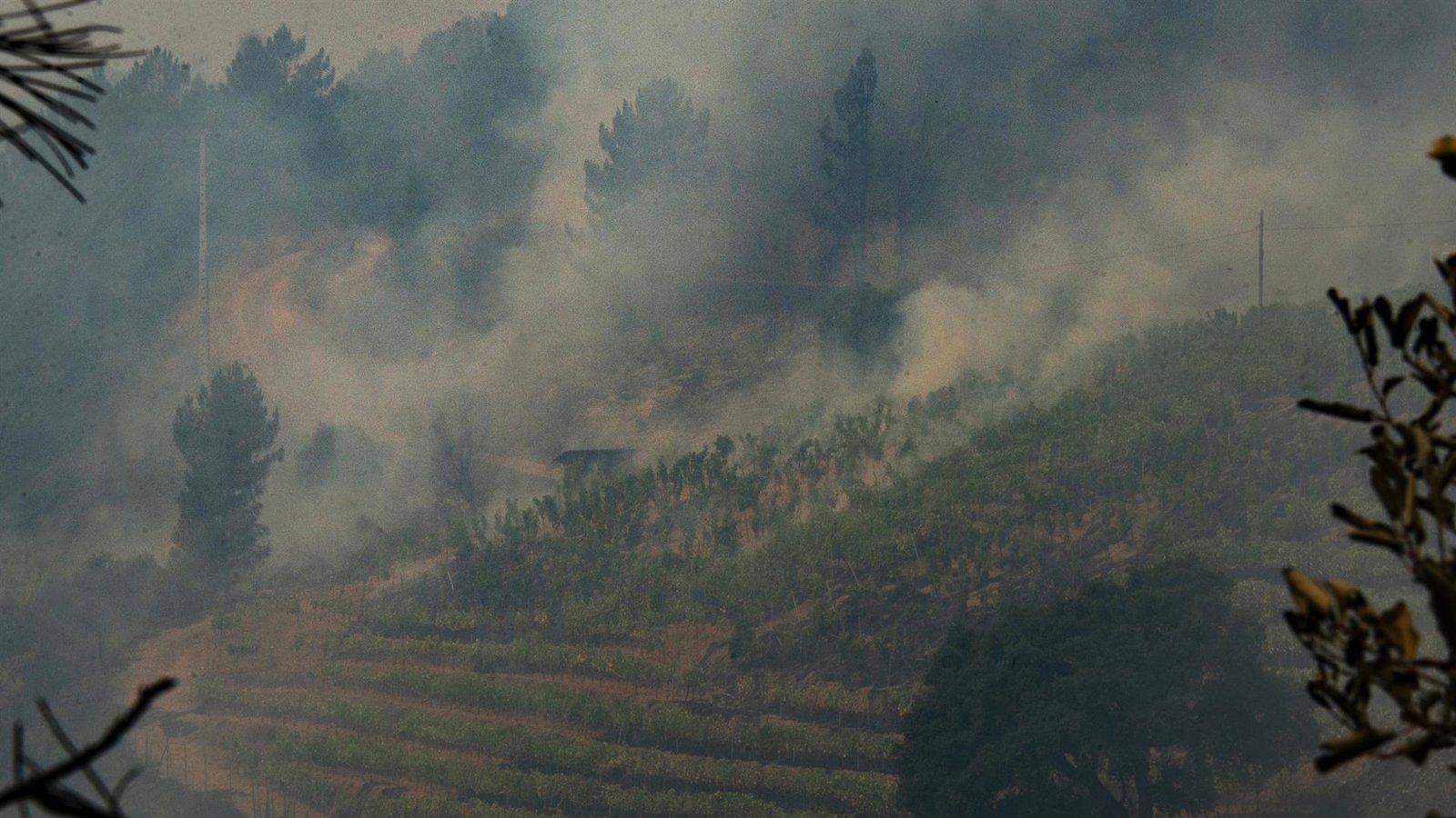 Detenidas dos personas en Ourense por su presunta implicación en incendios forestales