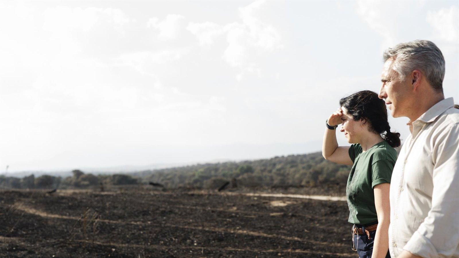 La Comunidad ofrecerá ayudas para la limpieza de las zonas incendiadas