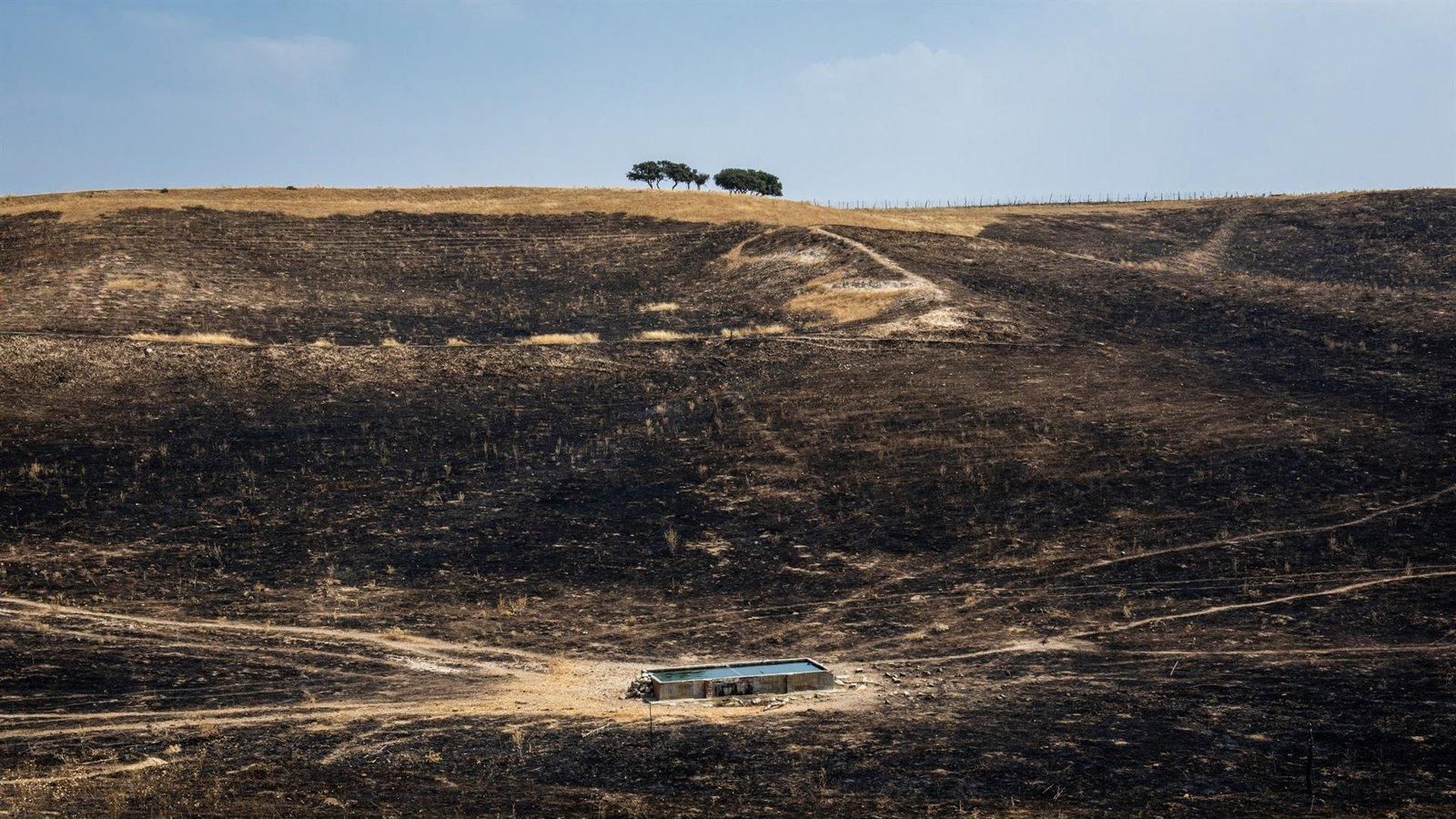 La región pide ampliar a 13 municipios la declaración de zonas de emergencia