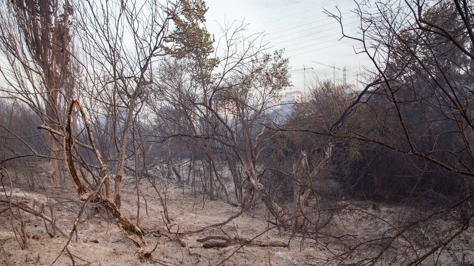 Controlado el incendio que afectó una zona de pastos en Tres Cantos