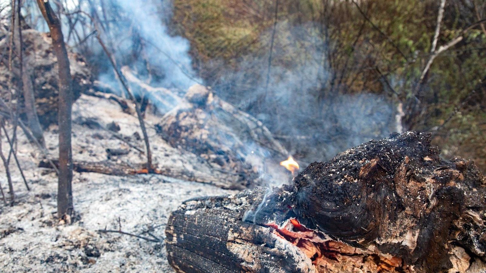 Regresan a sus hogares los evacuados por el incendio en Tres Cantos