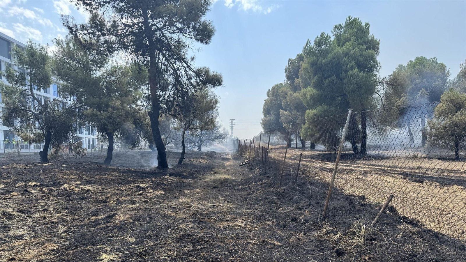 Controlado el incendio de vegetación cerca del área comercial en Pozuelo sin heridos