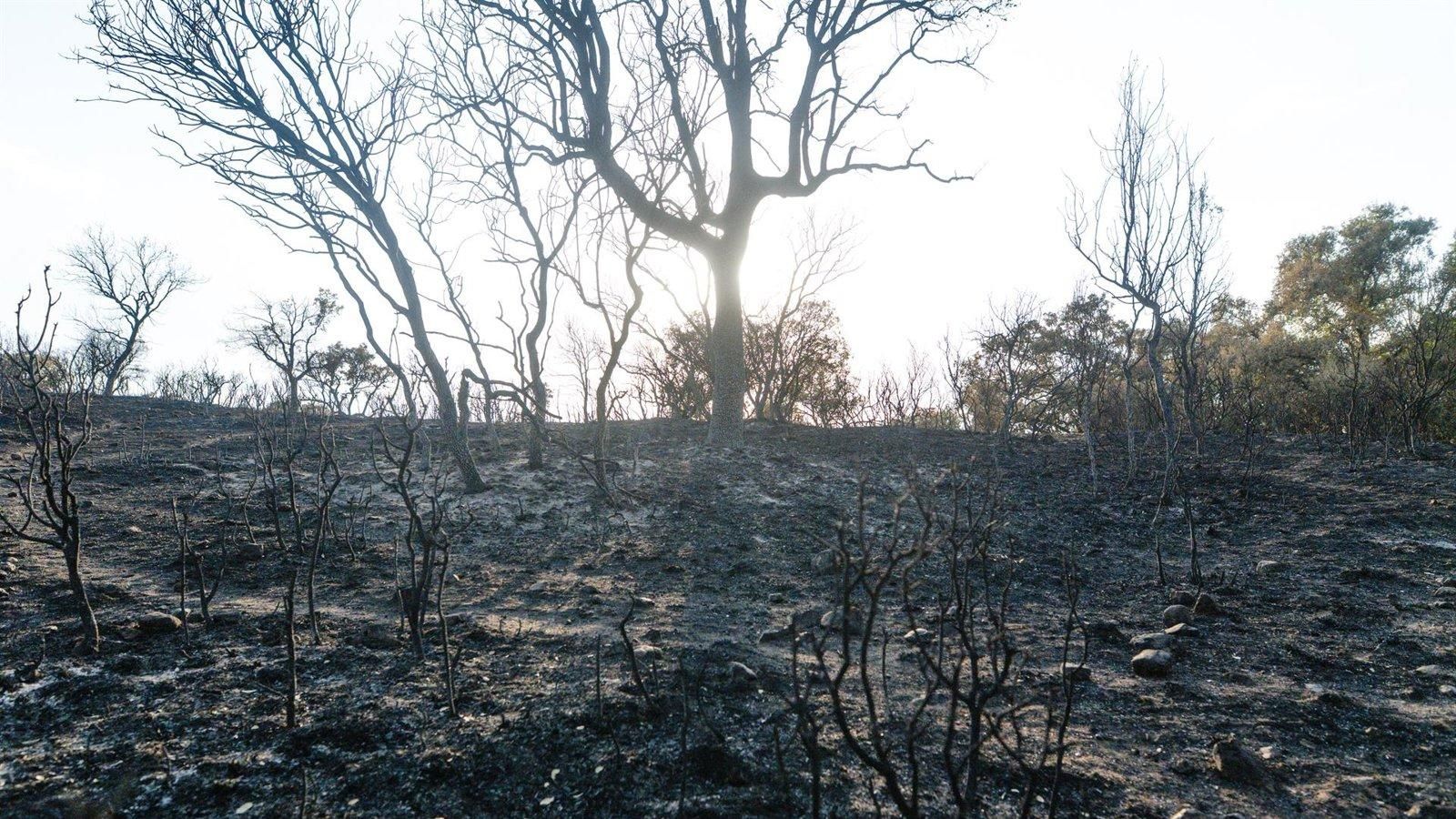 Tres Cantos mantiene el apoyo a los afectados por el incendio con 11 expedientes de viviendas