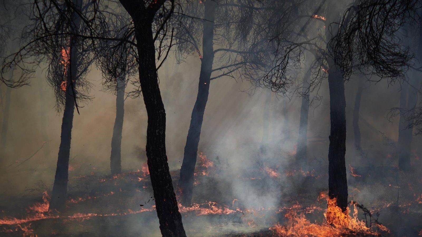 Trece carreteras de cinco comunidades siguen cortadas por incendios forestales
