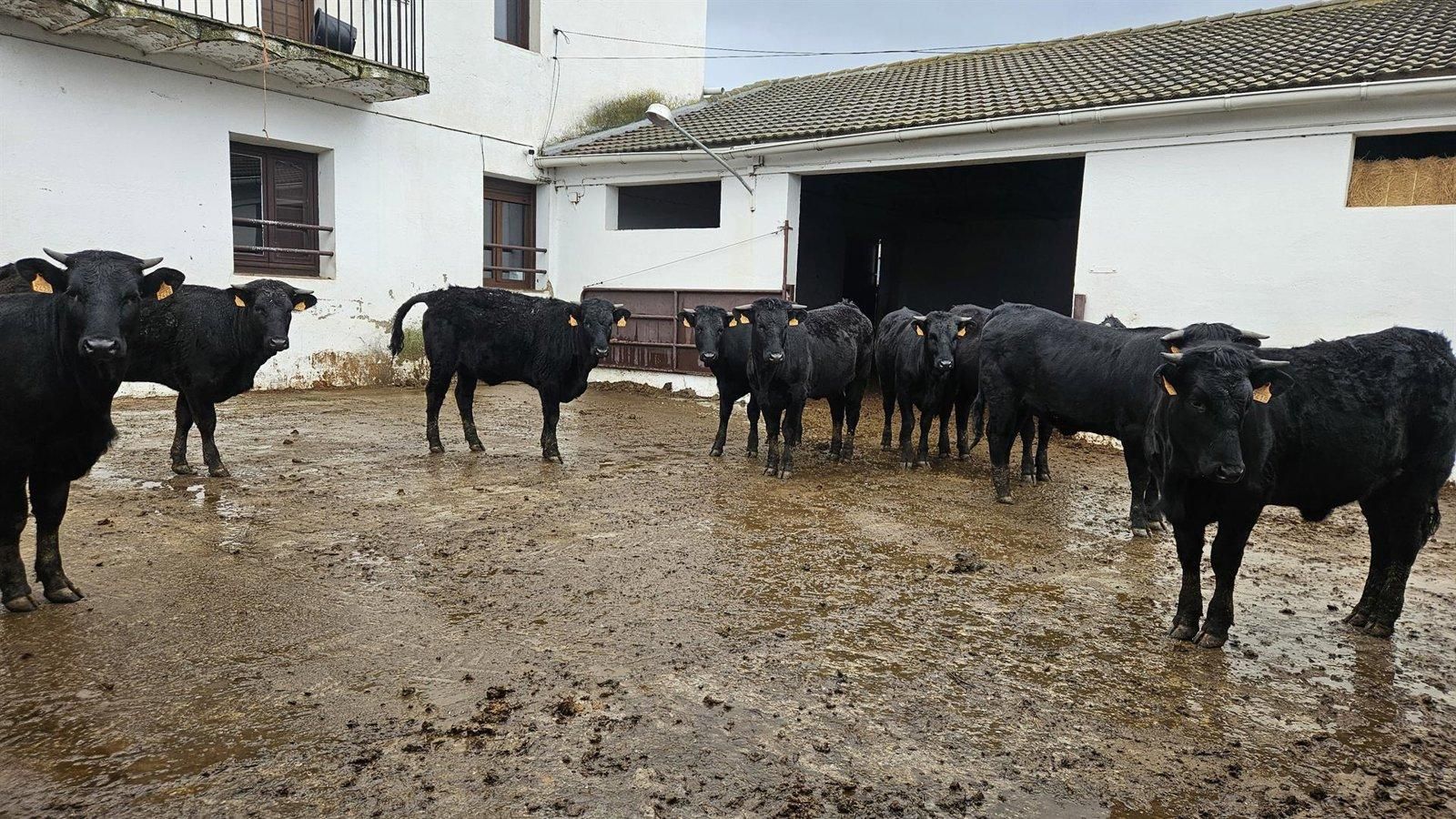 La Comunidad de Madrid agota en cuatro meses los 2,5 millones en ayudas para jóvenes agricultores y ganaderos