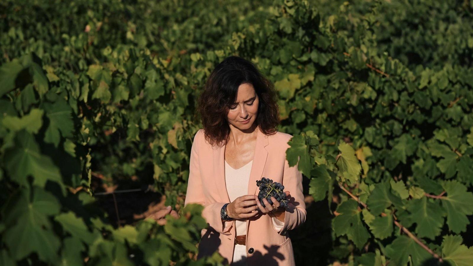 La Comunidad presenta un tinto institucional y pone en valor la investigación vitivinícola del IMIDRA