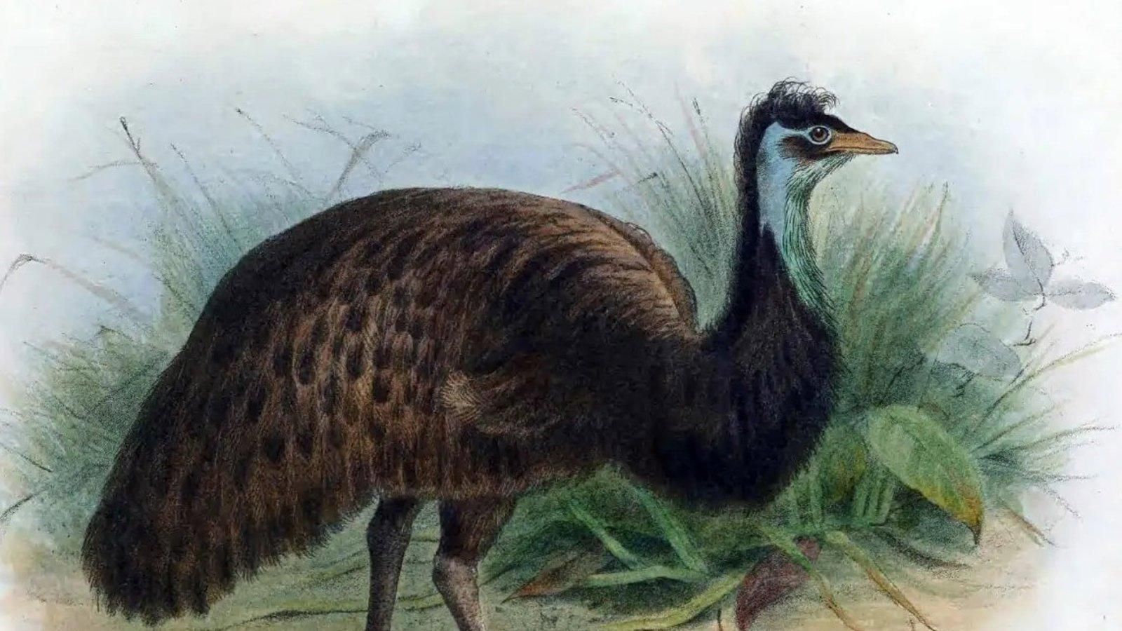 La pérdida de especies se ralentiza