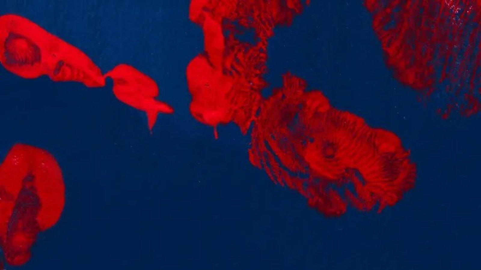 Contemporánea Condeduque presenta nueve actividades que fusionan ciencia y arte en Madrid hasta junio