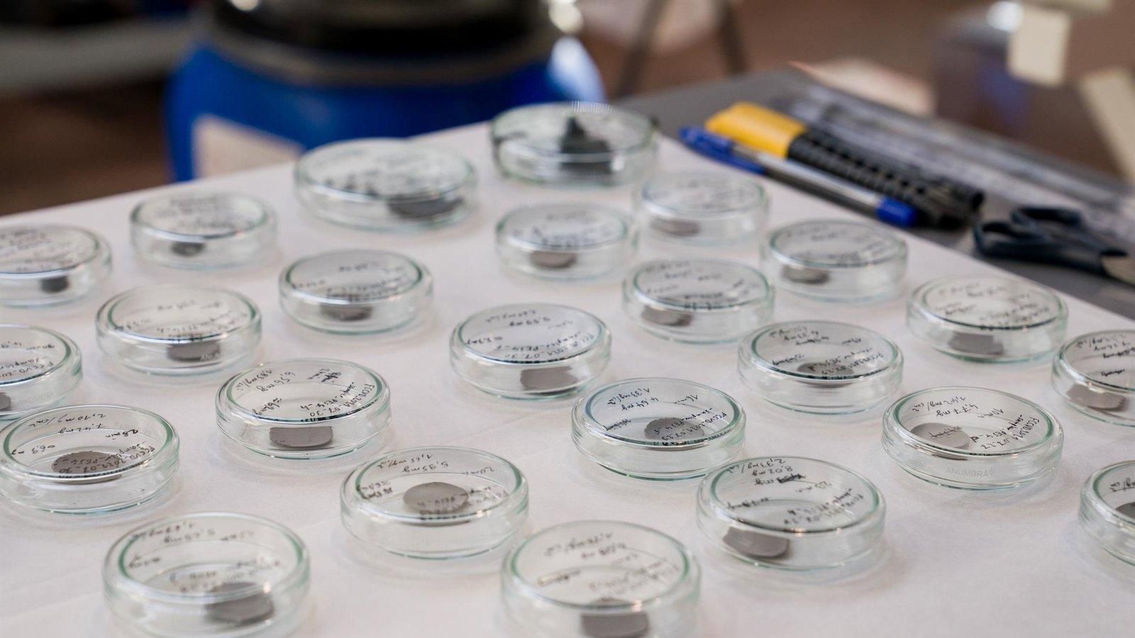 Un estudio de IMDEA Nutrición demuestra los beneficios de la kombucha en la salud intestinal