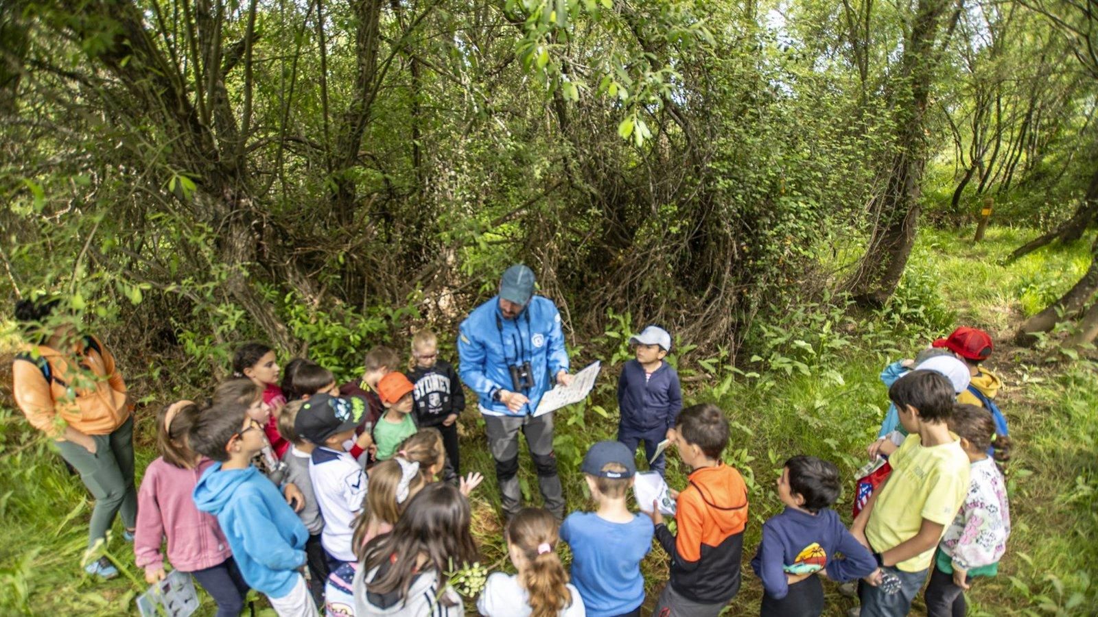 La Comunidad de Madrid ofrece casi 200 actividades ambientales gratis este otoño
