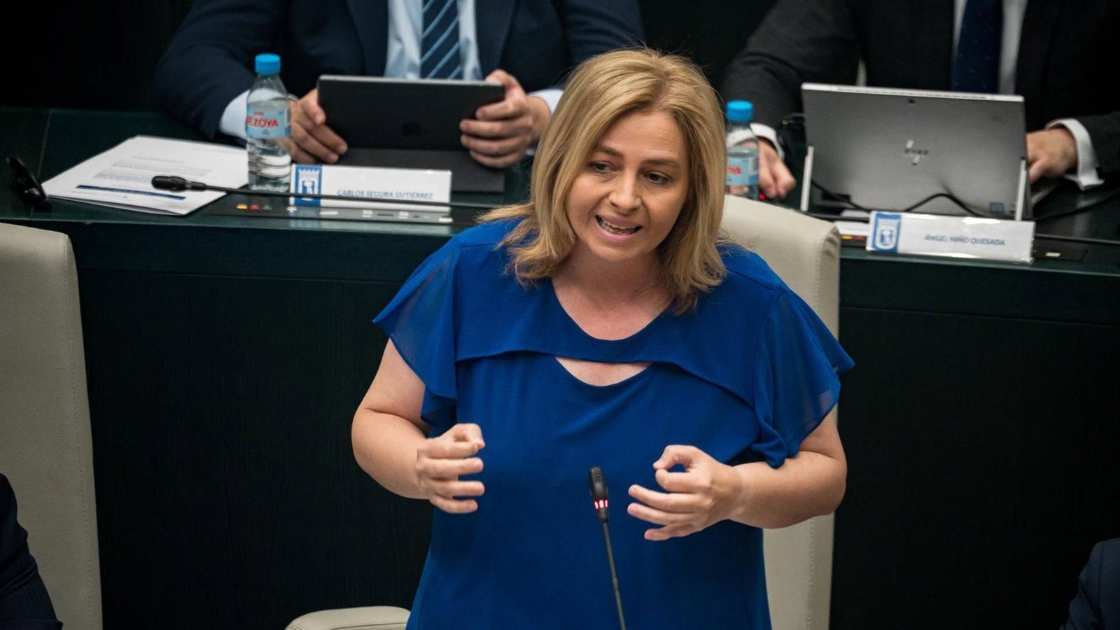 Sanz defiende que el Pleno servirá para despejar dudas sobre la posición del PP sobre el aborto