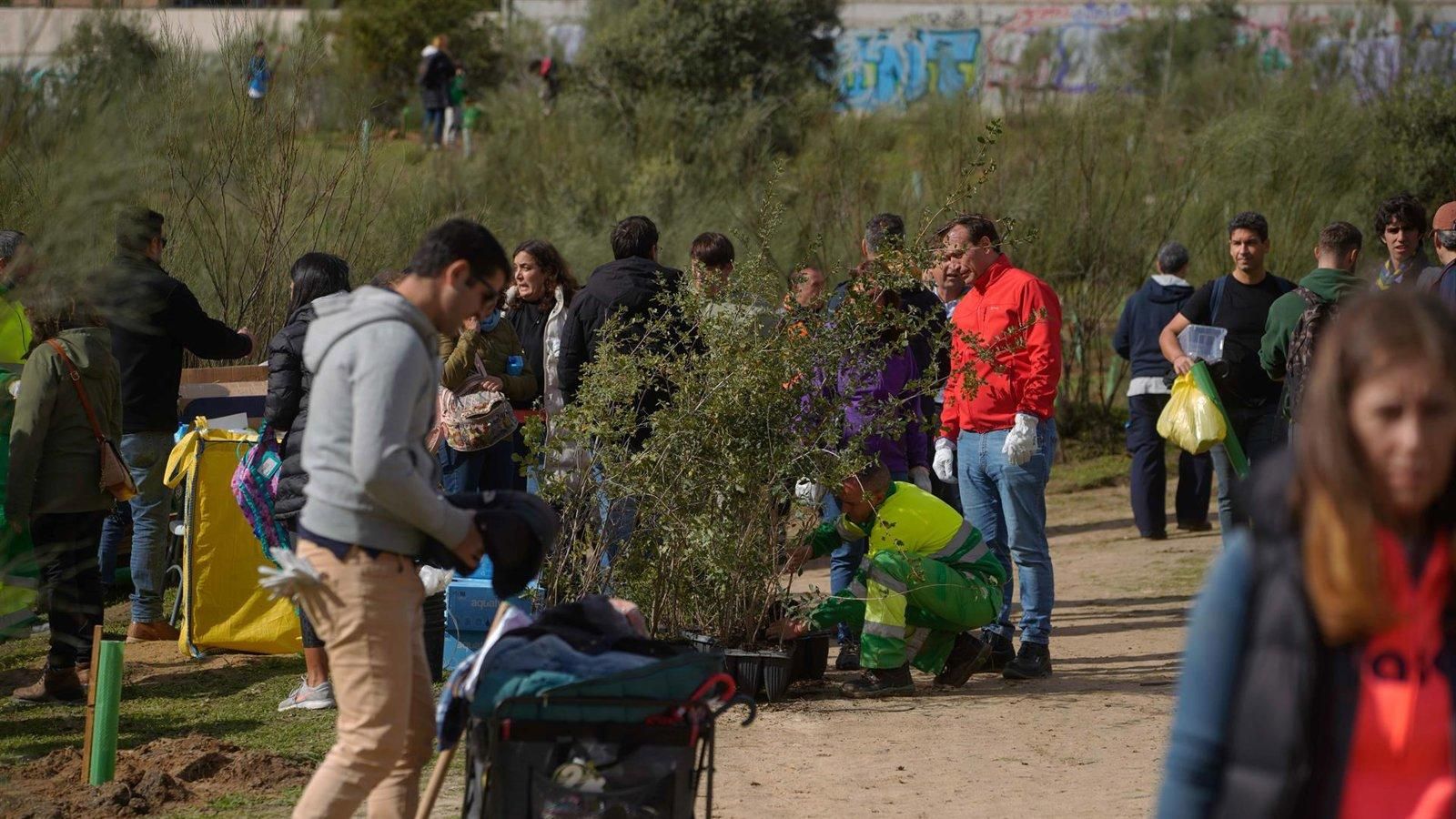Las Rozas impulsa plantación familiar con más de 1.600 árboles en Punta Galea