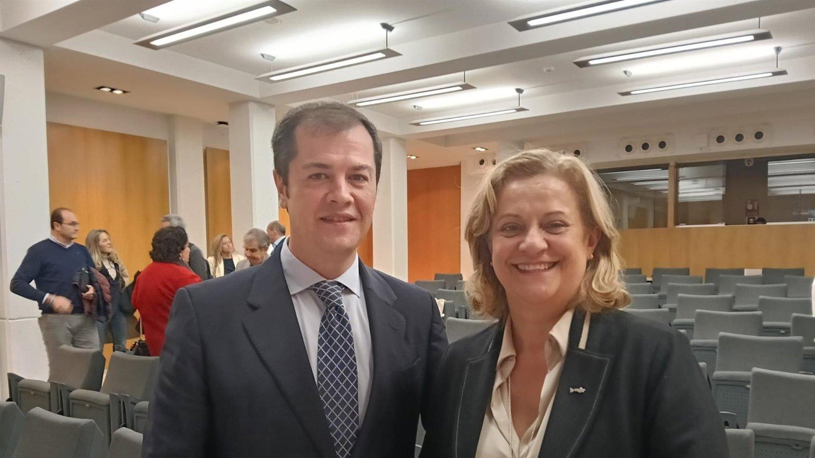 La Comunidad impulsa la Noche en Blanco de Alcalá como atractivo turístico