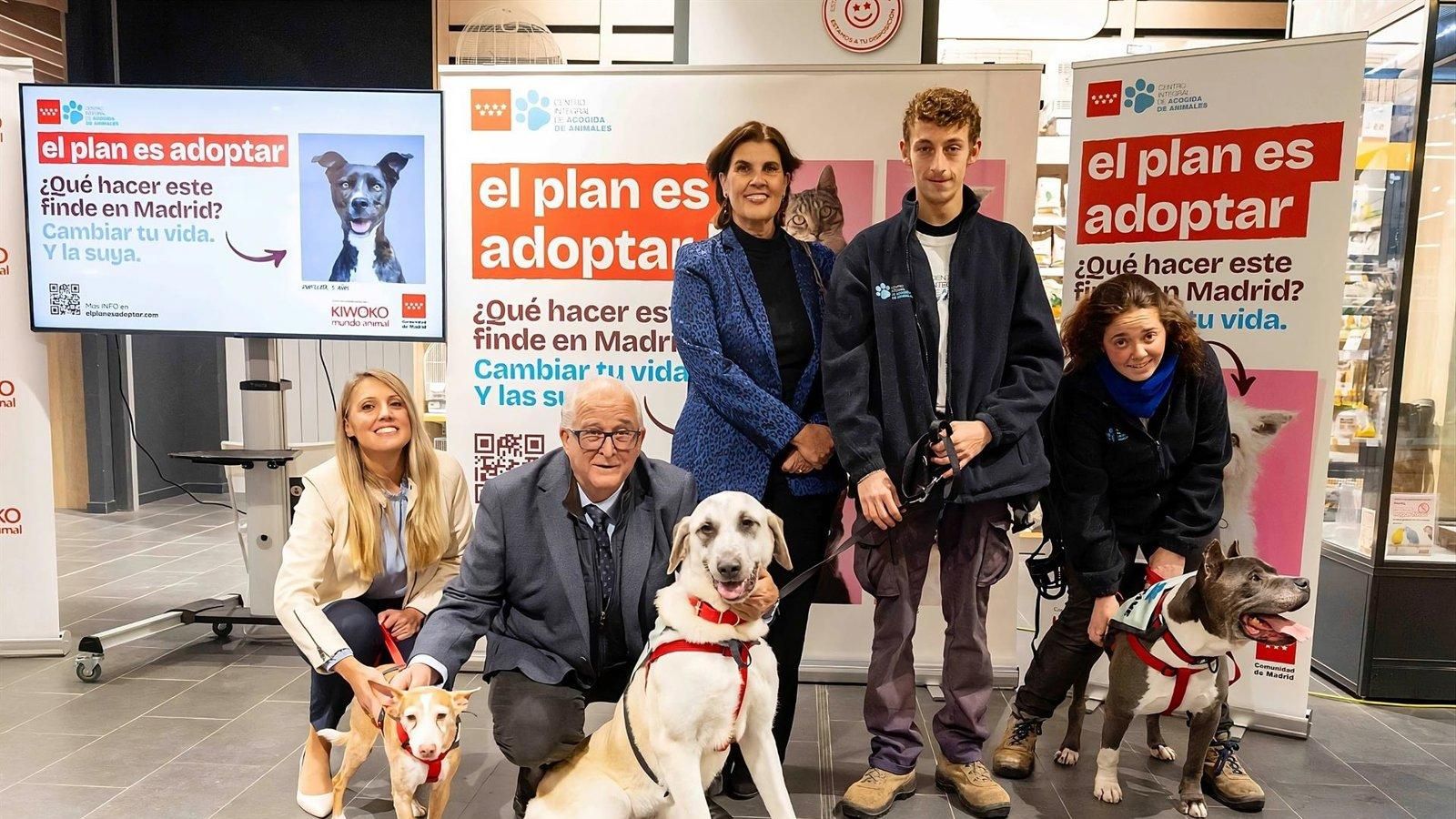 La Comunidad de Madrid refuerza la lucha contra el abandono animal con la campaña 'El Plan es Adoptar'