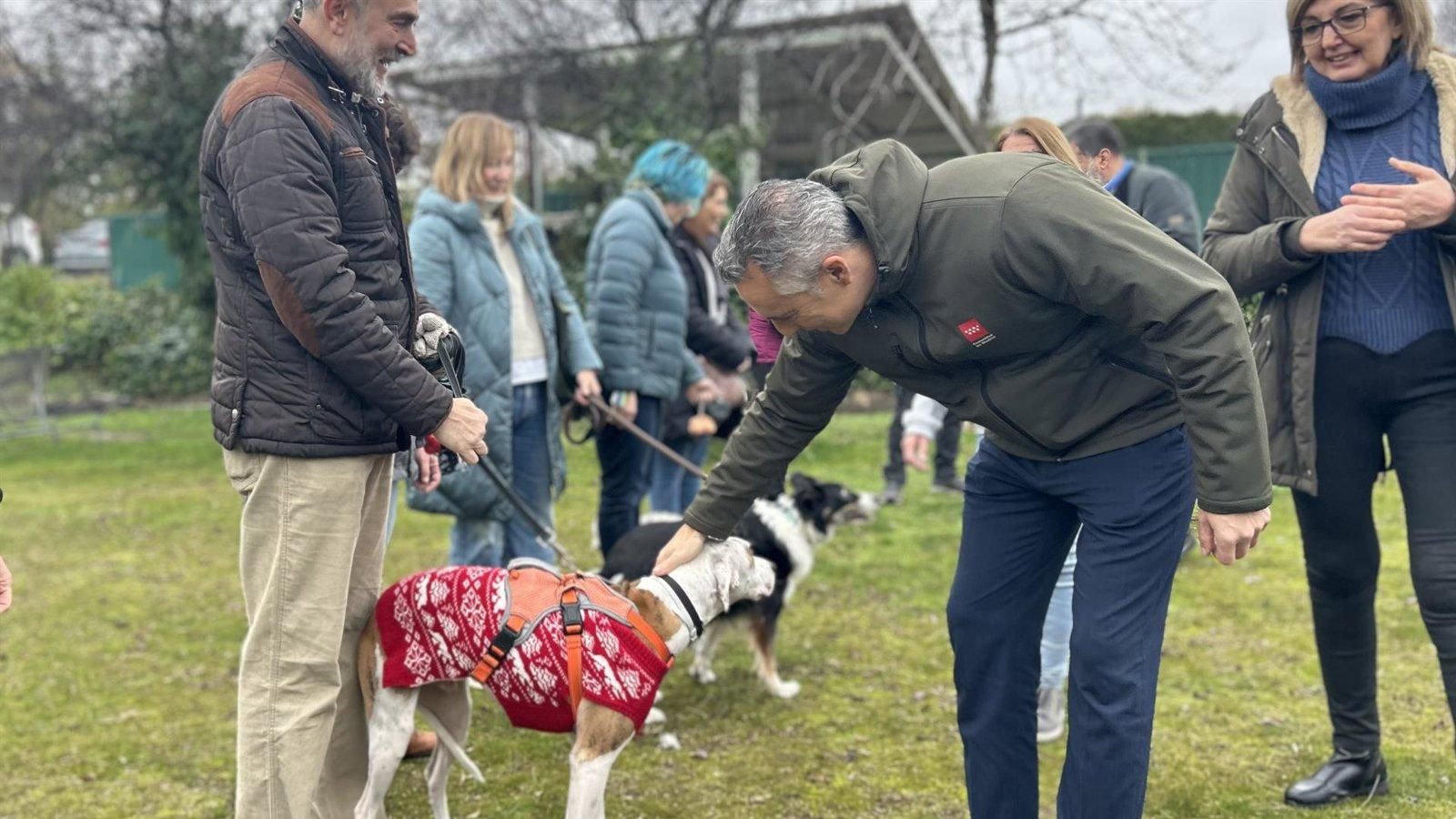 Nueva aplicación móvil Mascomad para potenciar la adopción de animales de compañía en la región