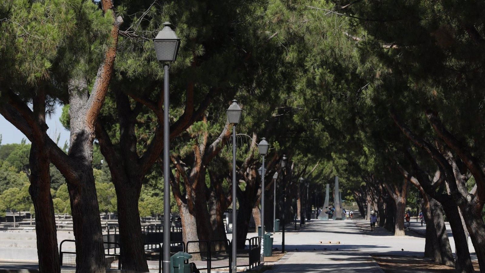 Entran en funcionamiento las 14 cámaras con inteligencia artificial del parque de Pradolongo de Usera,