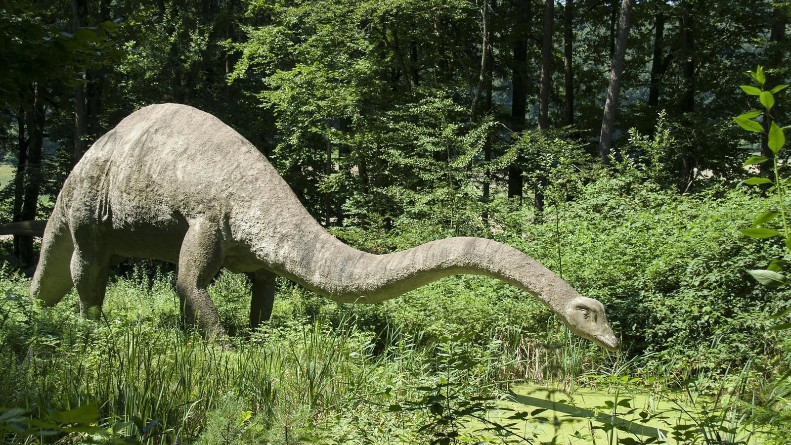 Un estudio rebaja la velocidad de dinosaurios gigantes y mamuts