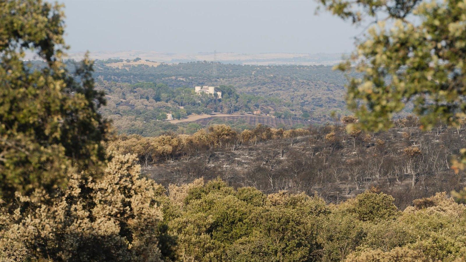 La Comunidad se personará como acusación popular en delitos contra el medio ambiente, el patrimonio y el orden público