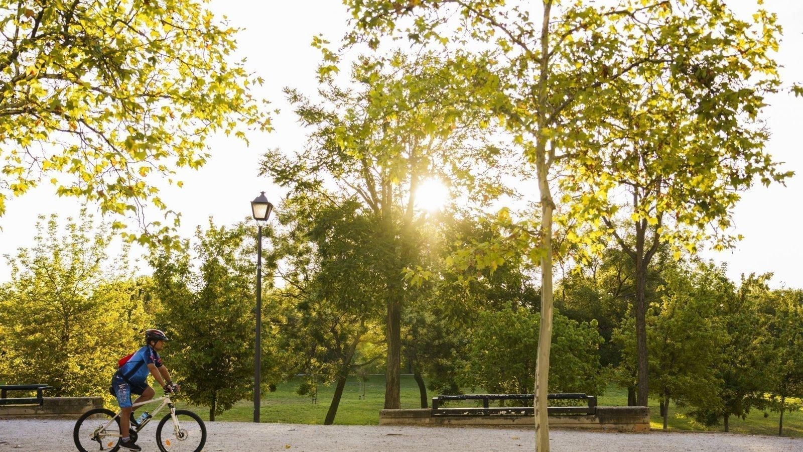 La ciudad de Madrid revalida por cuarto año la máxima calificación ambiental y se sitúa entre las ciudades líderes del mundo