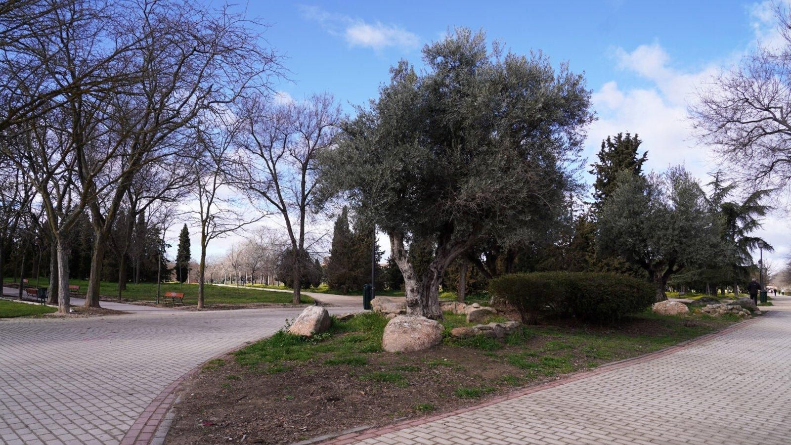 Madrid inicia la tercera fase de rehabilitación del parque de Las Cruces con 1,8 millones y nuevas zonas deportivas e infantiles