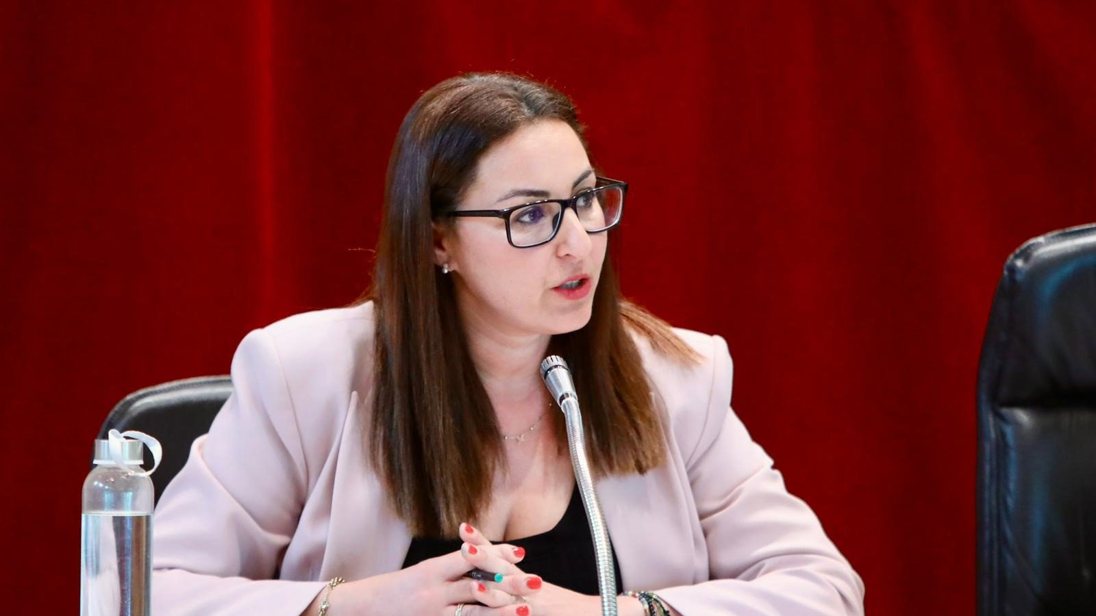 Alcobendas.- El Pleno exige la dimisión de Óscar Puente y medidas urgentes para frenar "el deterioro" de Cercanías