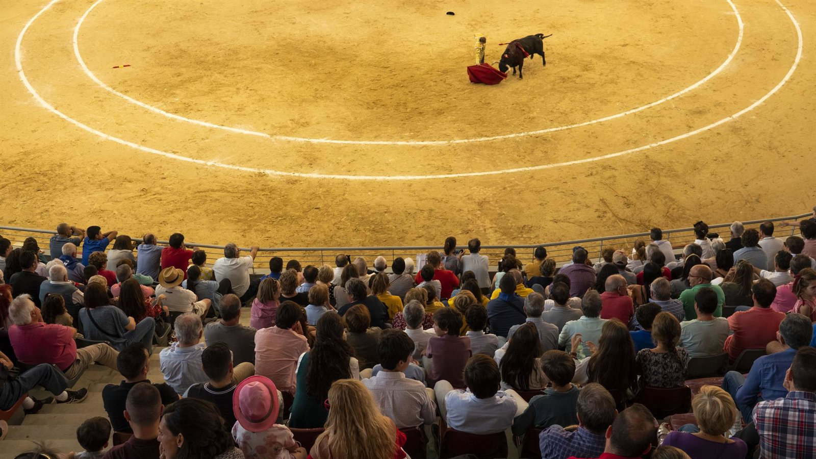 Las Rozas.- La localidad celebra este sábado el II Festival de Primavera con corrida de toros y música en vivo