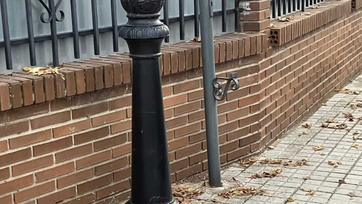 VOX Griñón critica al PP por no instalar 108 papeleras prometidas